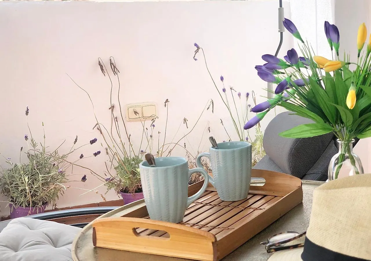 Apartamento Suites La Merced Málaga España